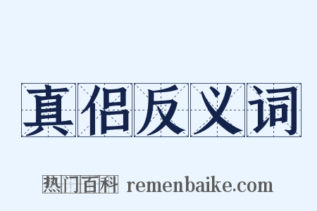 真侣反义词是什么意思的图片